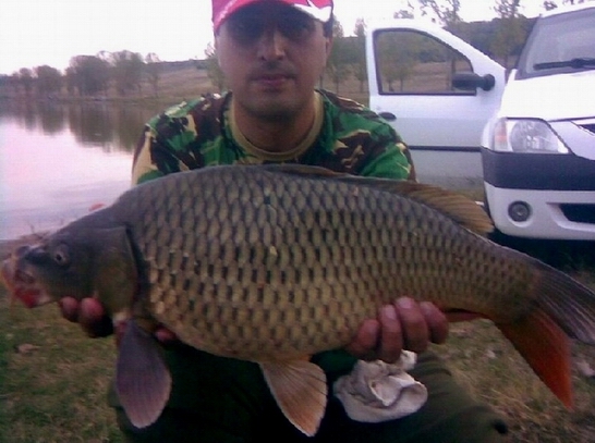 fantanele toamna 005.jpg