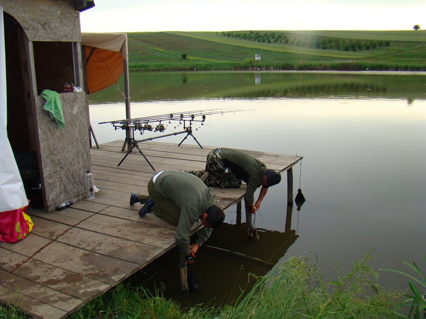DSC02659 (Copy).JPG