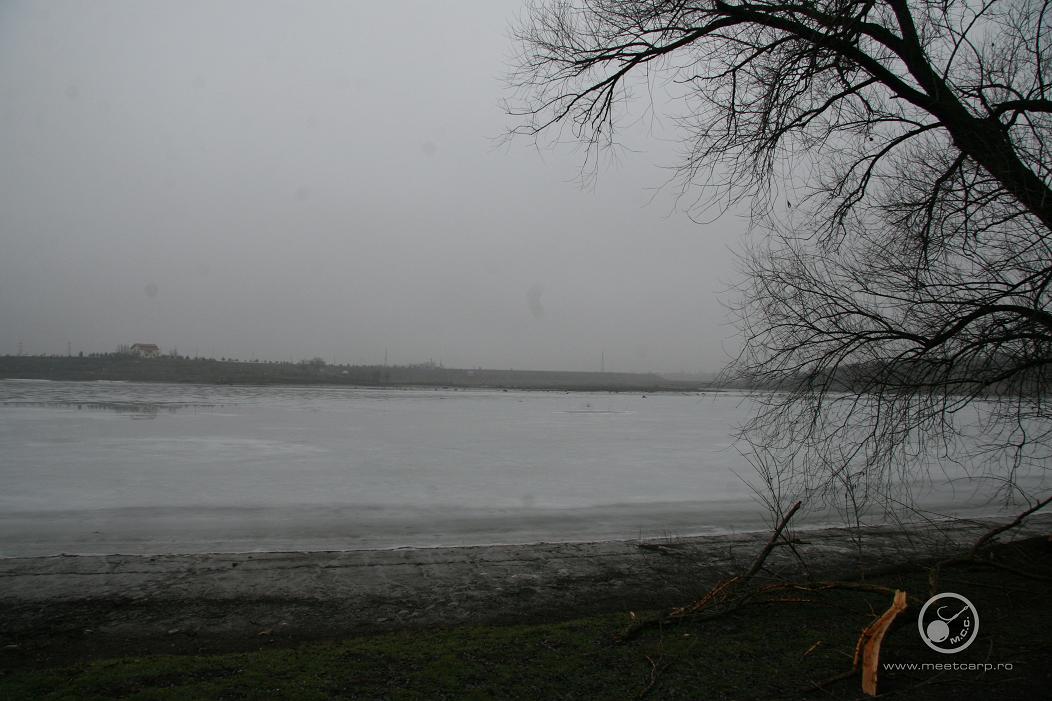 parcare copy.jpg