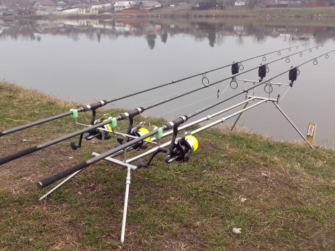 Anaconda Scepter Pod.jpg