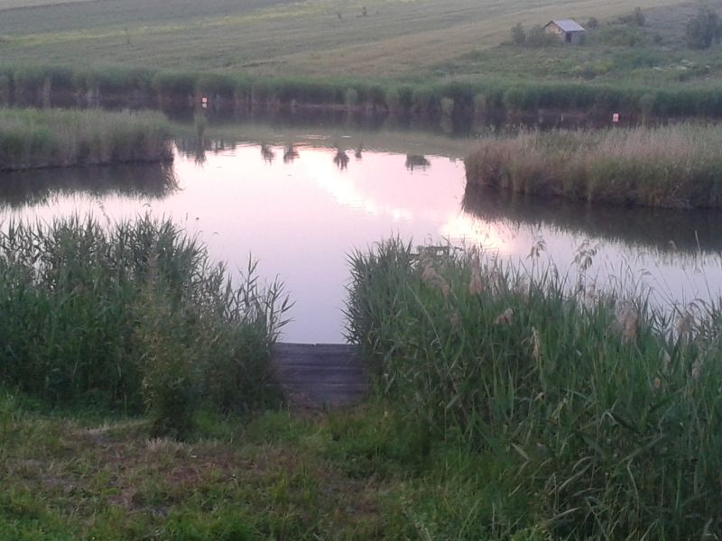 20140526_203142.jpg
