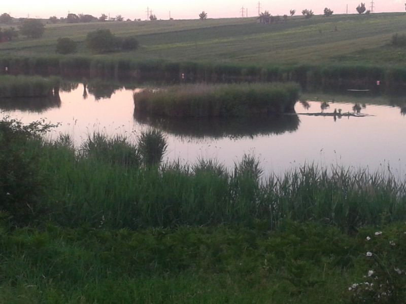 20140526_203059.jpg