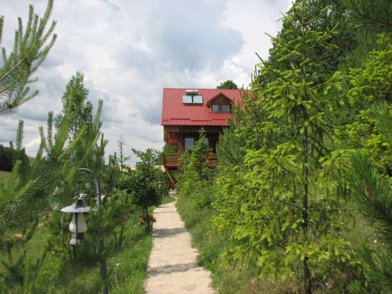 b8.JPG