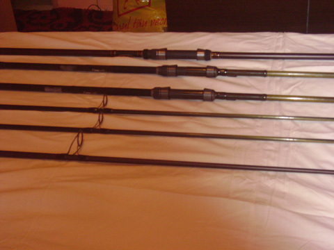 Picture 024.jpg