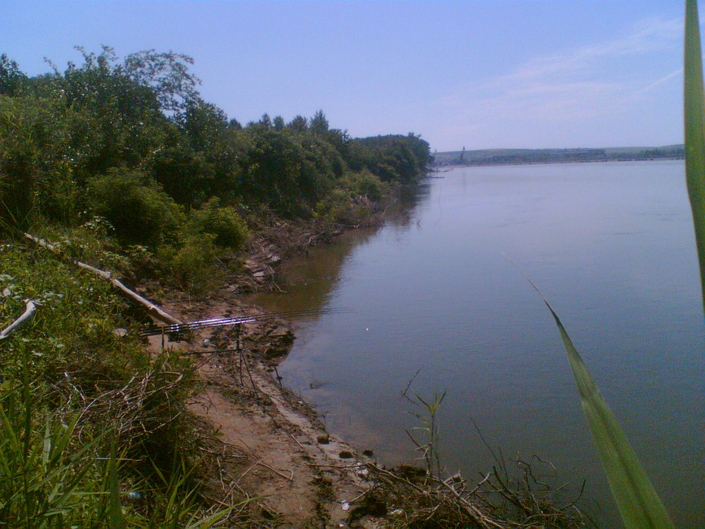 Imag000.jpg