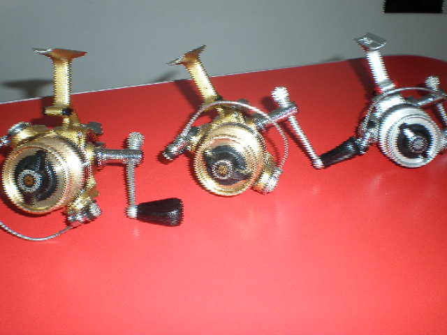 P1220190.JPG