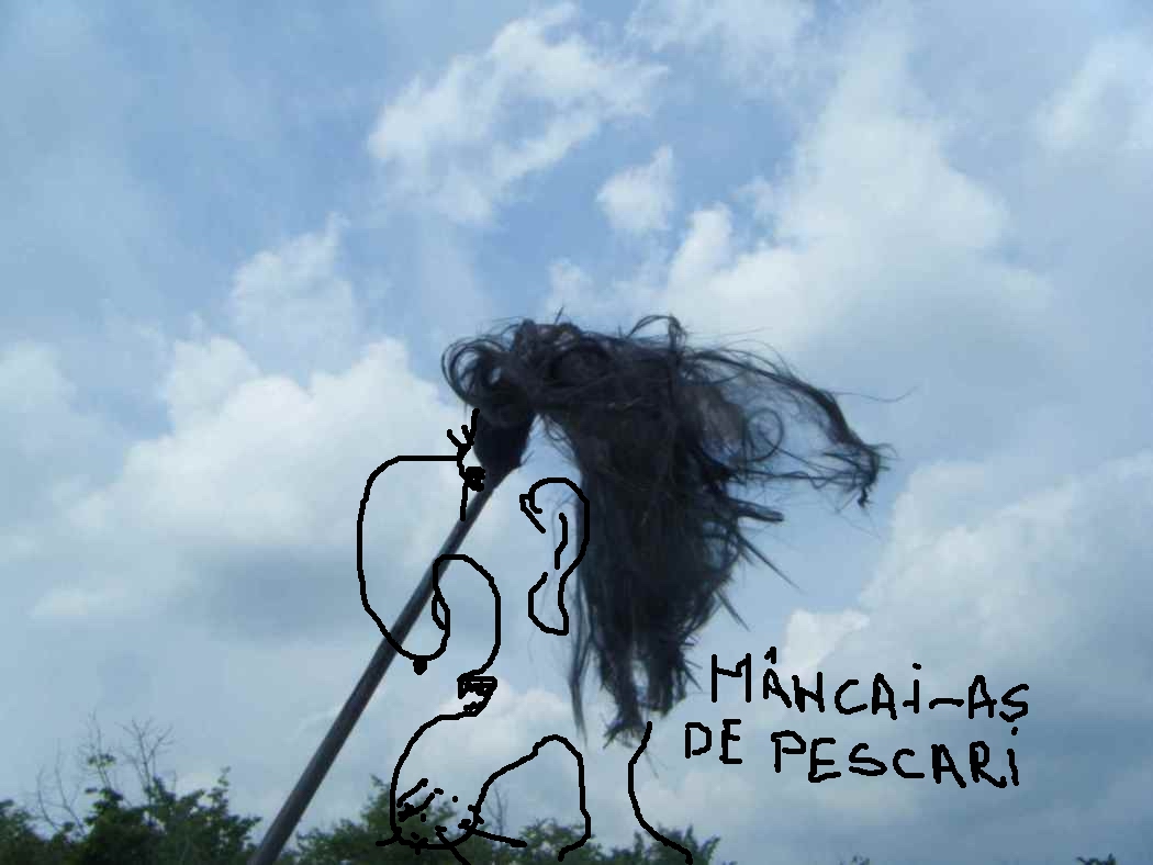 DSCF1791.jpg