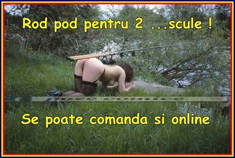 Rodpod.jpg