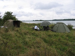 IMG_8439.JPG