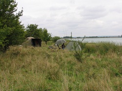 IMG_8459.JPG