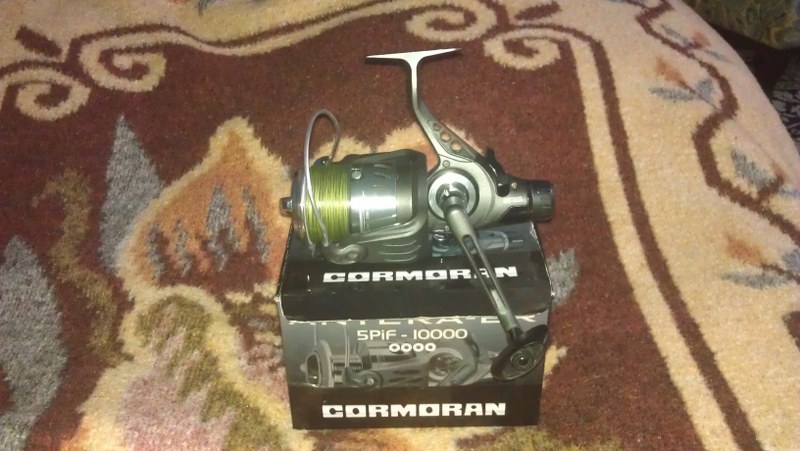 IMAG0521_800x451.jpg