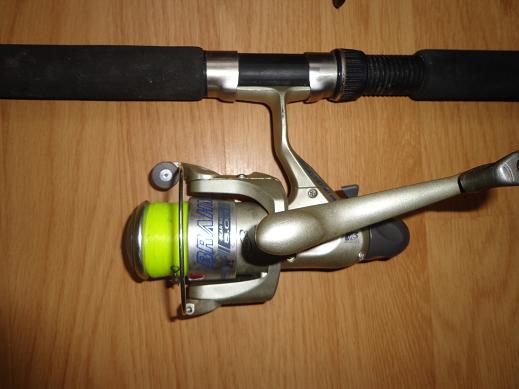 Okuma Brahma.JPG