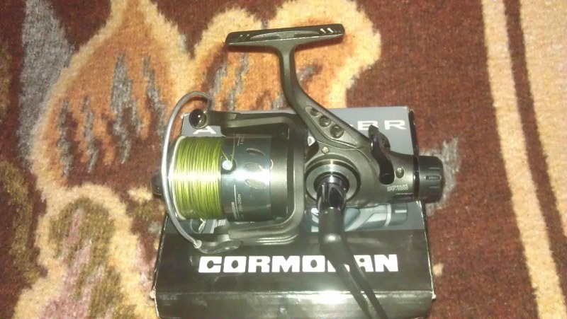 IMAG0522_800x451.jpg