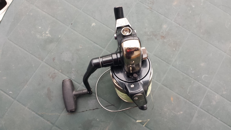 tica3 (800x450).jpg