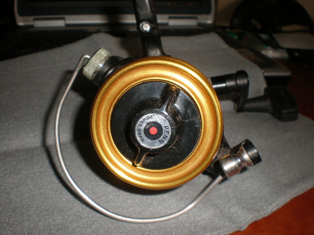 P3110255.JPG