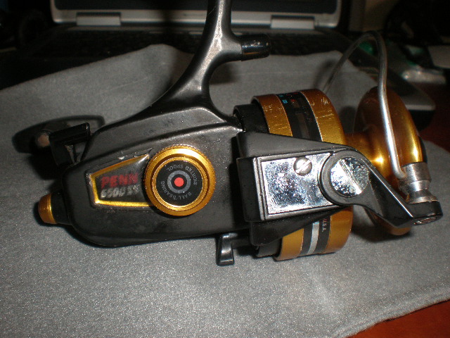 P3110256.JPG