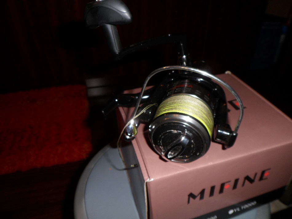Mifine 14.JPG