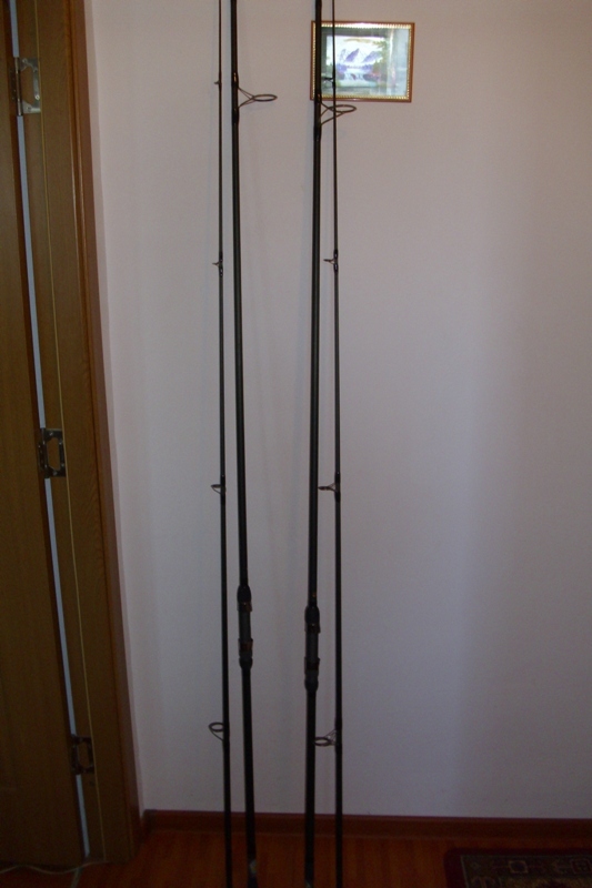 DSCI0570.JPG
