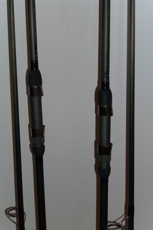 DSCI0571.JPG