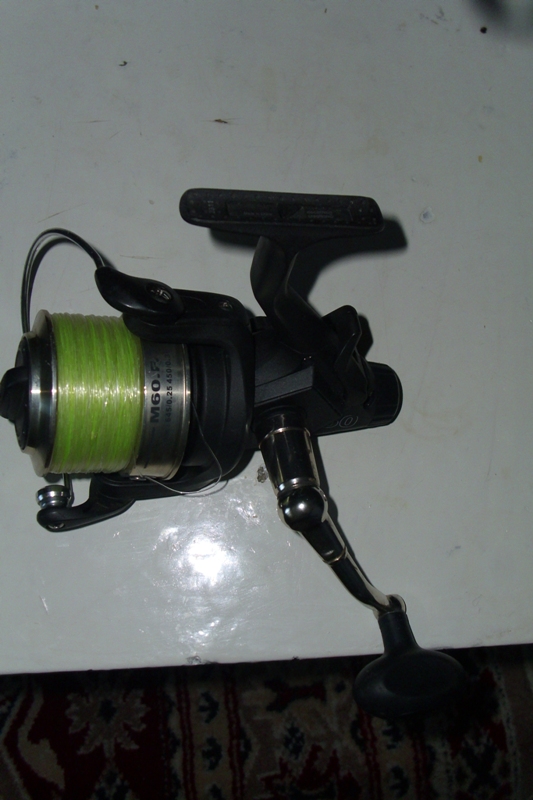 DSCI0574.JPG