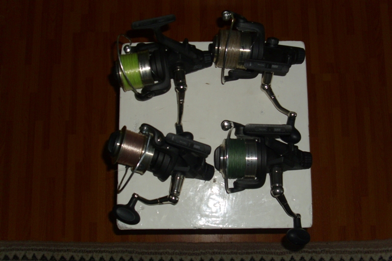 DSCI0575.JPG