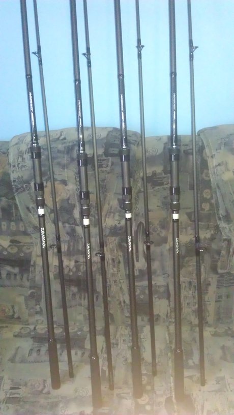 rsz_imag0090.jpg