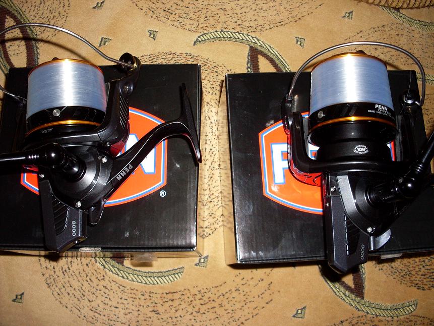 SDC11551.JPG