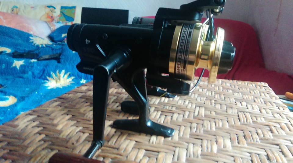 IMAG0054.jpg
