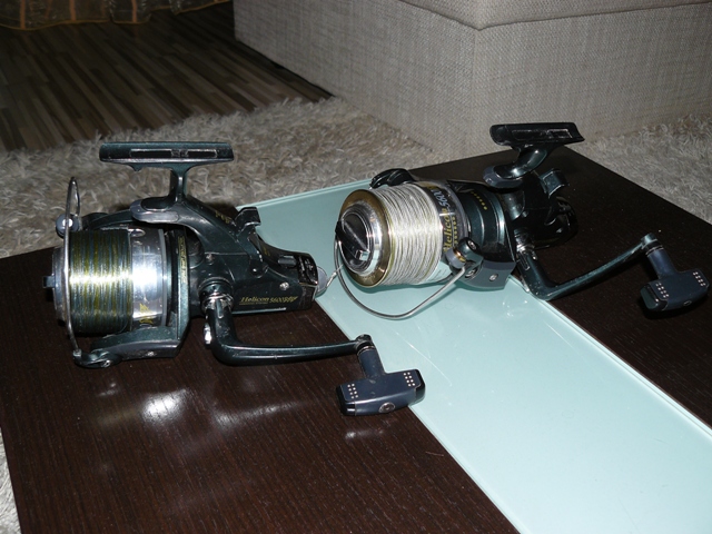 P1090164.JPG