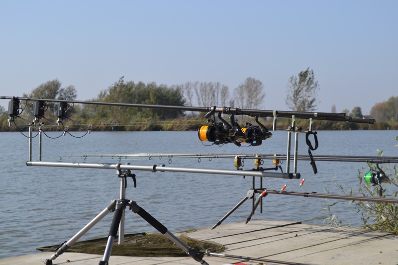 DSC_0912.JPG