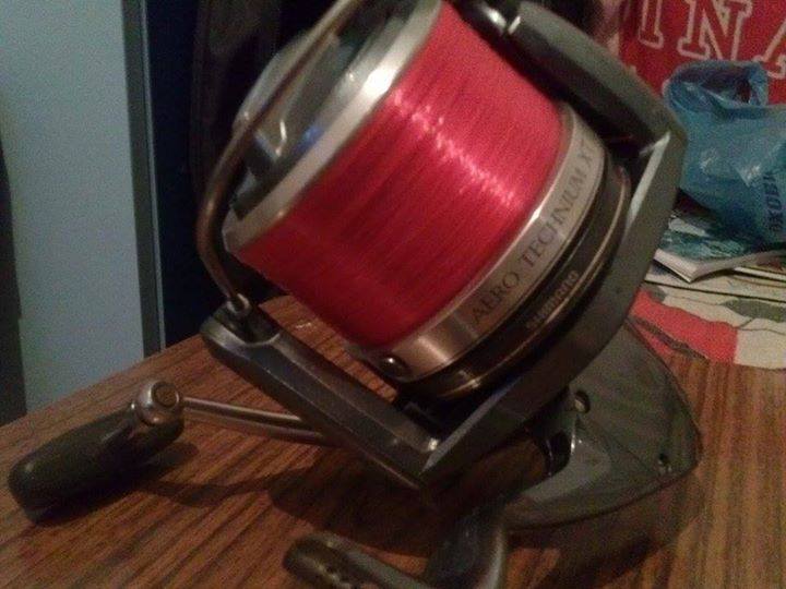 11051159_777023685706503_1766342837_n.jpg