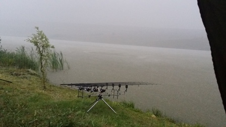 20140824_063848.jpg