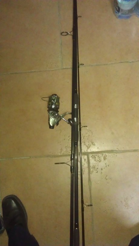 rsz_1imag0129.jpg