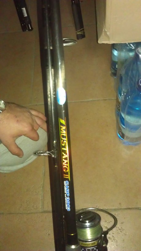 rsz_1imag0131.jpg