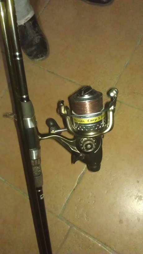 rsz_1imag0133.jpg
