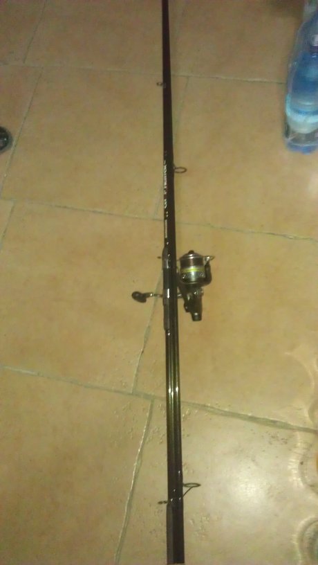 rsz_1imag0134.jpg