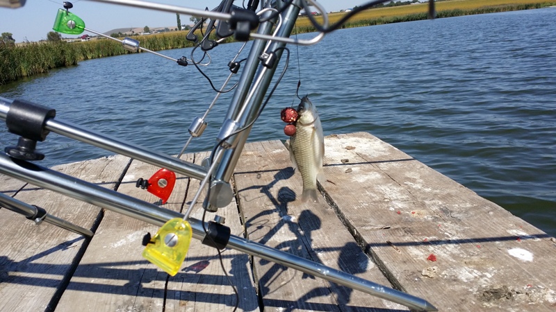 20140906_142207.jpg