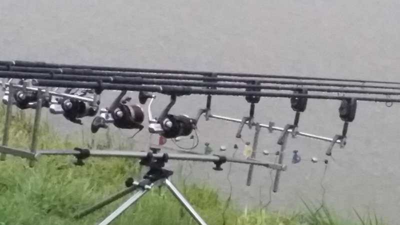 20140824_063957.jpg