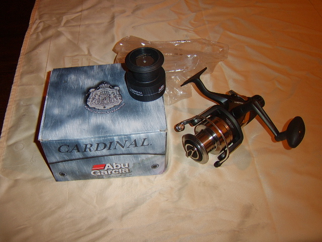 STA50240.JPG