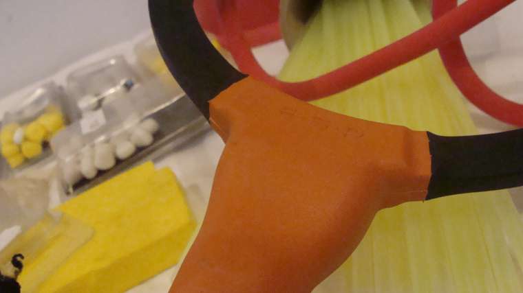 1427547777_tmp_DSC07679.jpg
