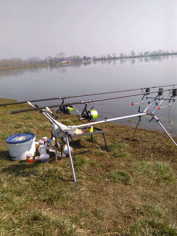 IMG_20150310_111616.jpg