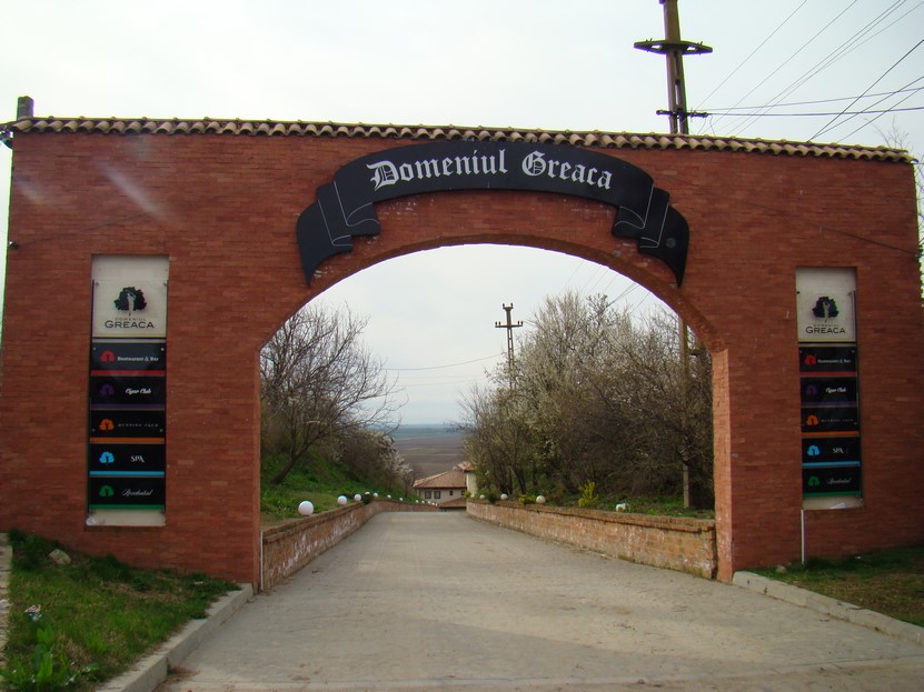 DSC03547 (Copy).JPG