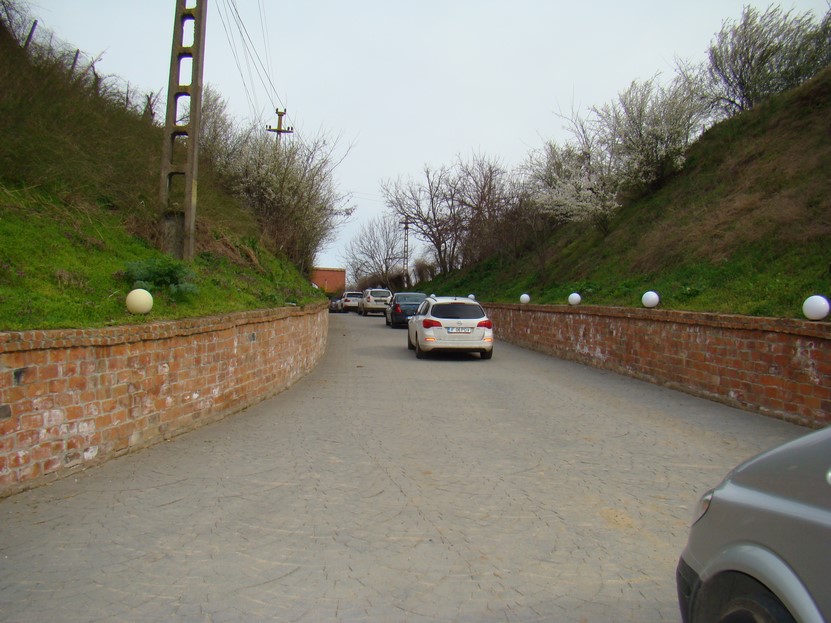 DSC03545 (Copy).JPG