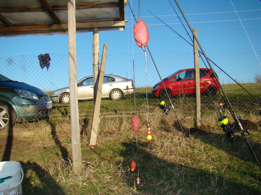 DSC03628 (Copy).JPG
