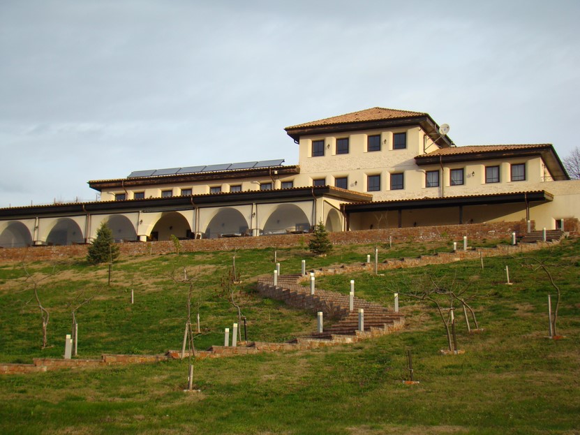 DSC03459 (Copy).JPG
