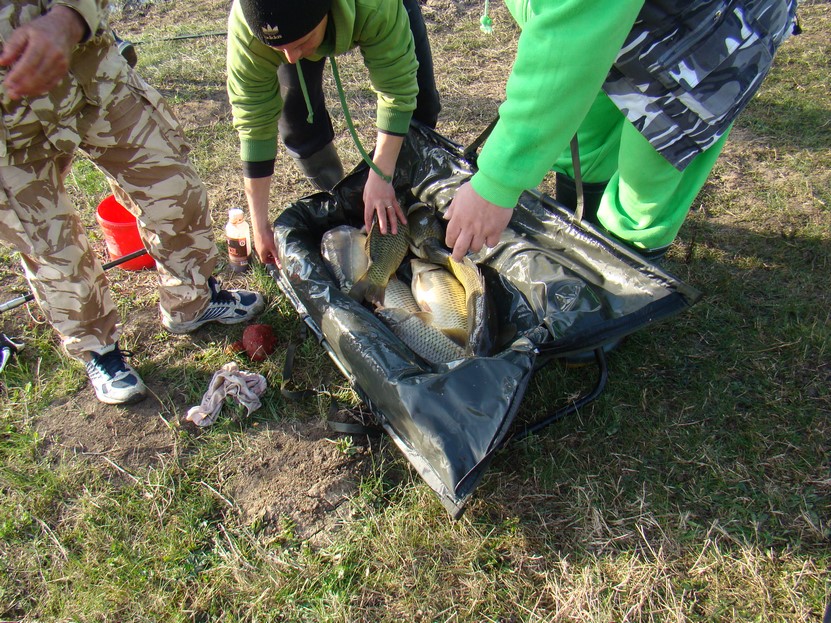 DSC03785 (Copy).JPG