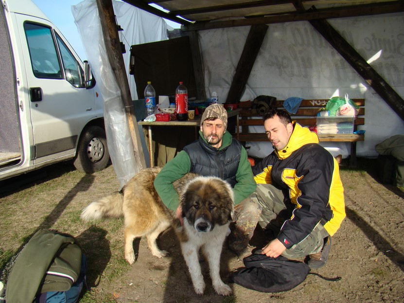 DSC03790 (Copy).JPG