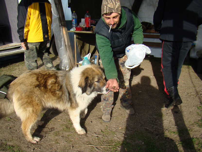 DSC03791 (Copy).JPG
