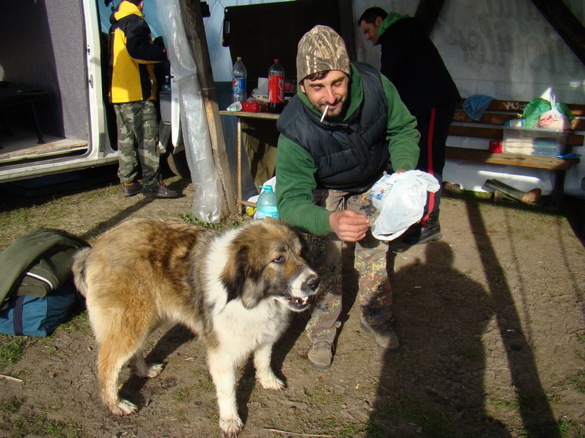 DSC03792 (Copy).JPG