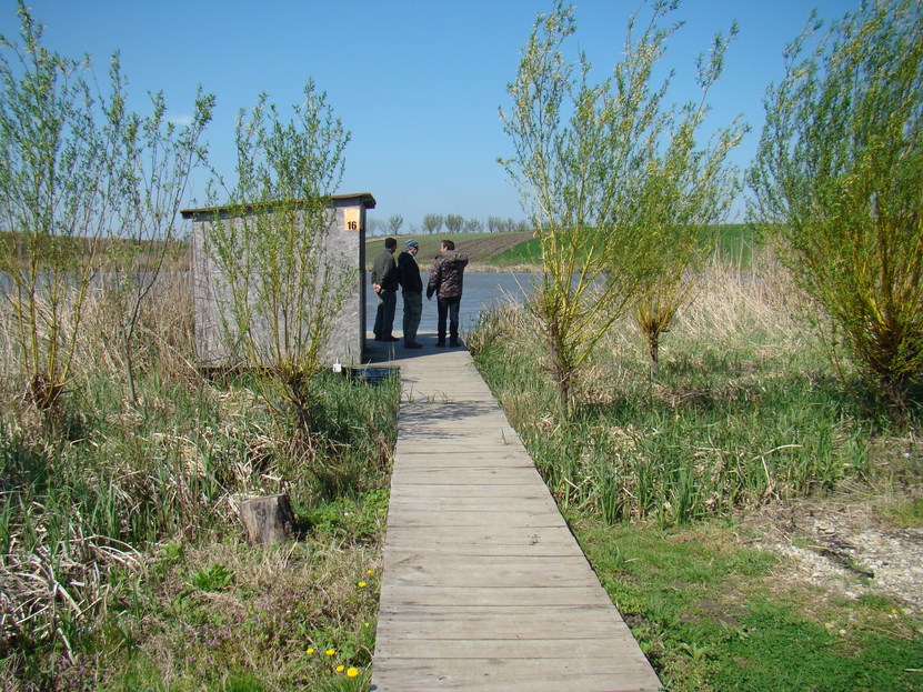 DSC03996 (Copy).JPG
